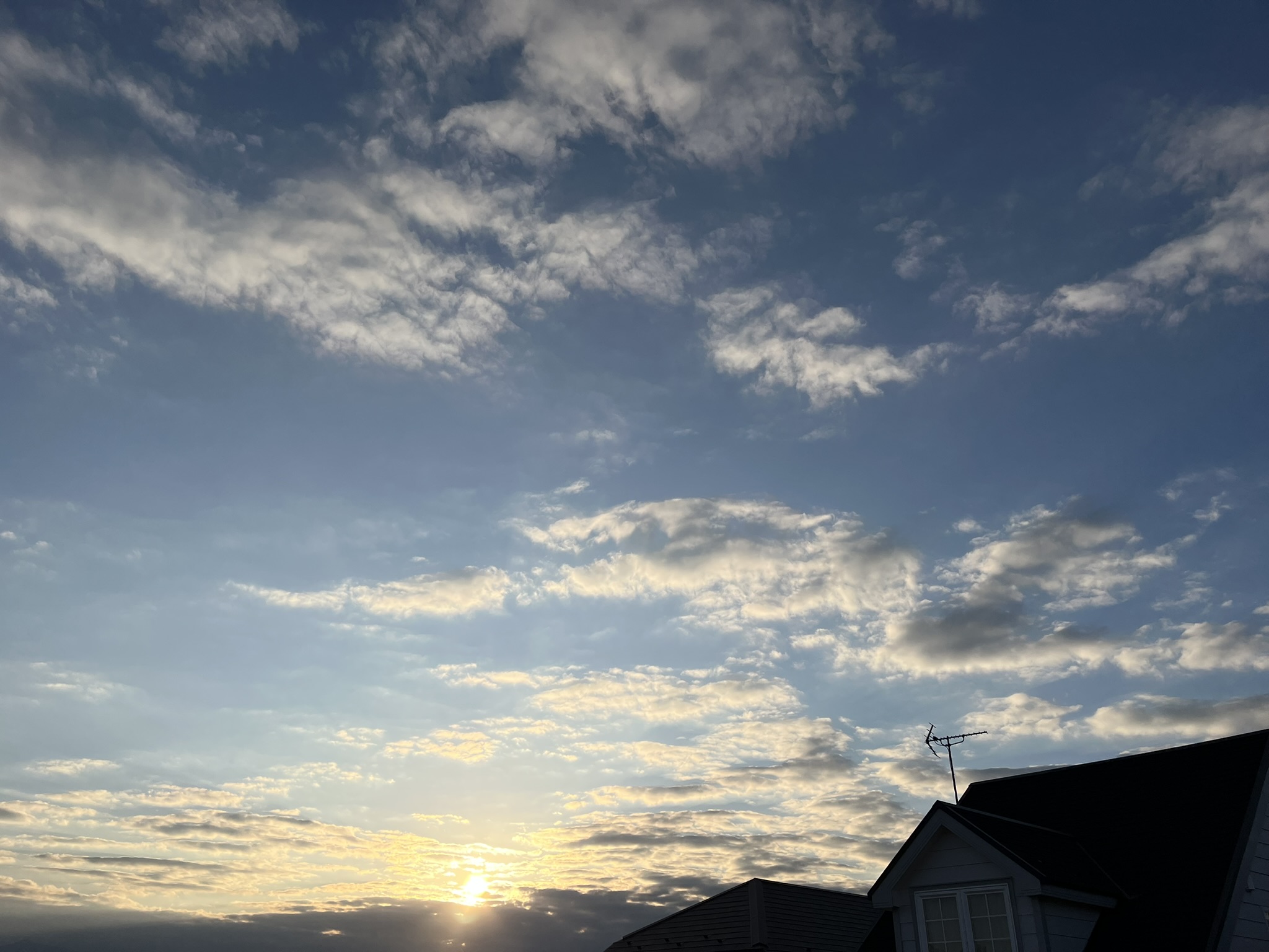 リフトマキシマイザー【いつ使う?どれくらい持つ?】リフティングパーム